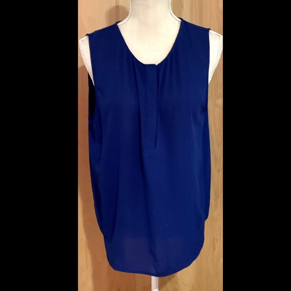Violet & Claire Top Sleeveless Sheer Flowy EUC